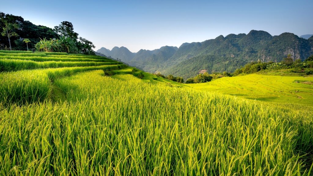 Top 5 des activités à Pu Luong, réserve naturelle, must à découvrir