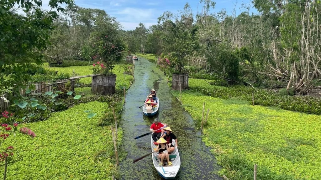 Balade en barque à travers la forêt de Tra Su