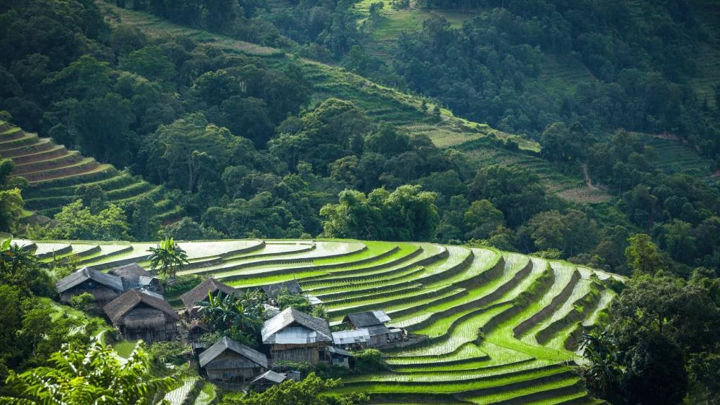 Vietnam hors des sentiers battus : Top destinations et expériences authentiques - vietnam mu cang chai champs en terrasses 1024 champs en terrasses