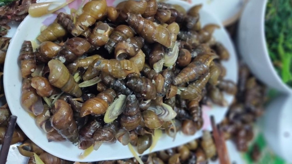 Escargots de ruisseau de Chieng Yen