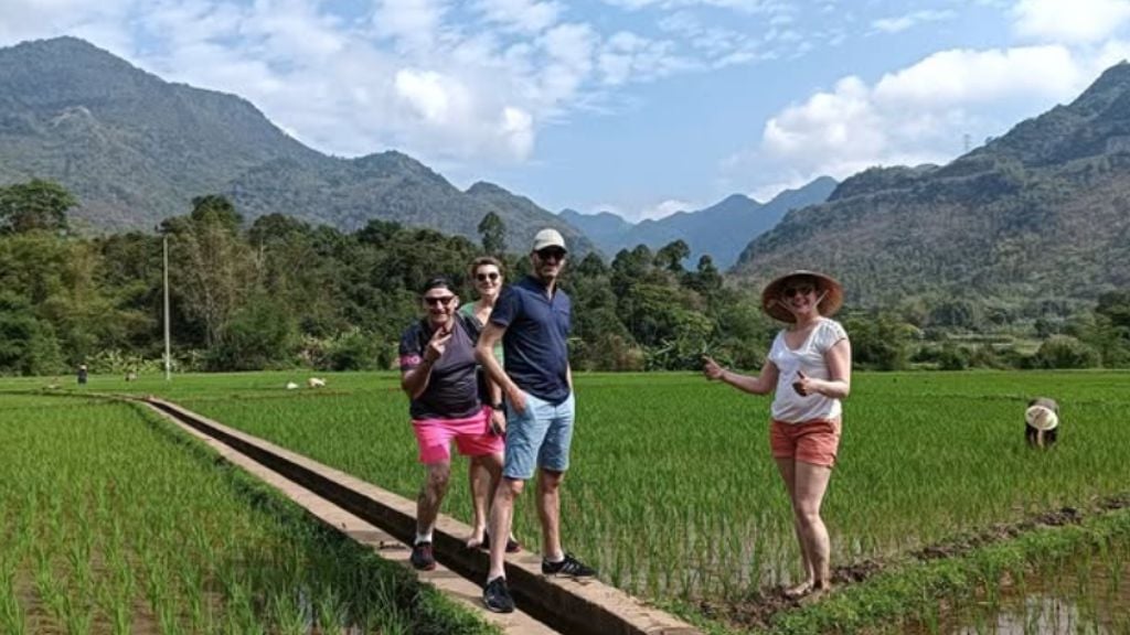 Expérience de repiquage du riz aux côtés des agriculteurs locaux