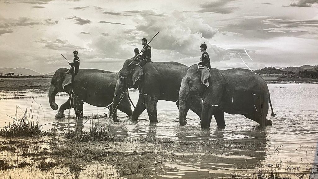 Scènes de vie quotidienne dans les Hauts Plateaux du Centre Vietnam