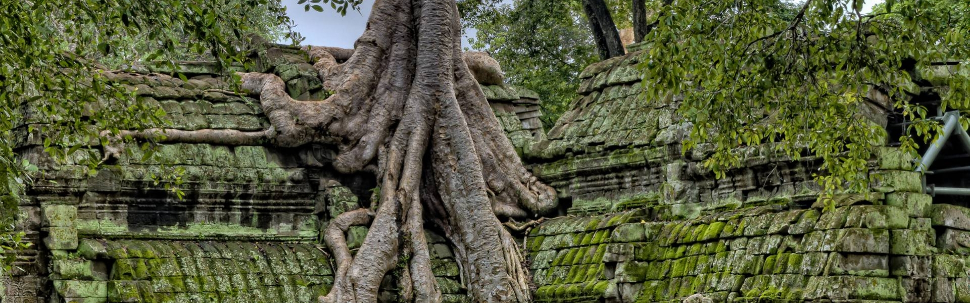 BLOG VOYAGE AU CAMBODGE