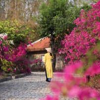 victoria-nui-sam-lodge-02