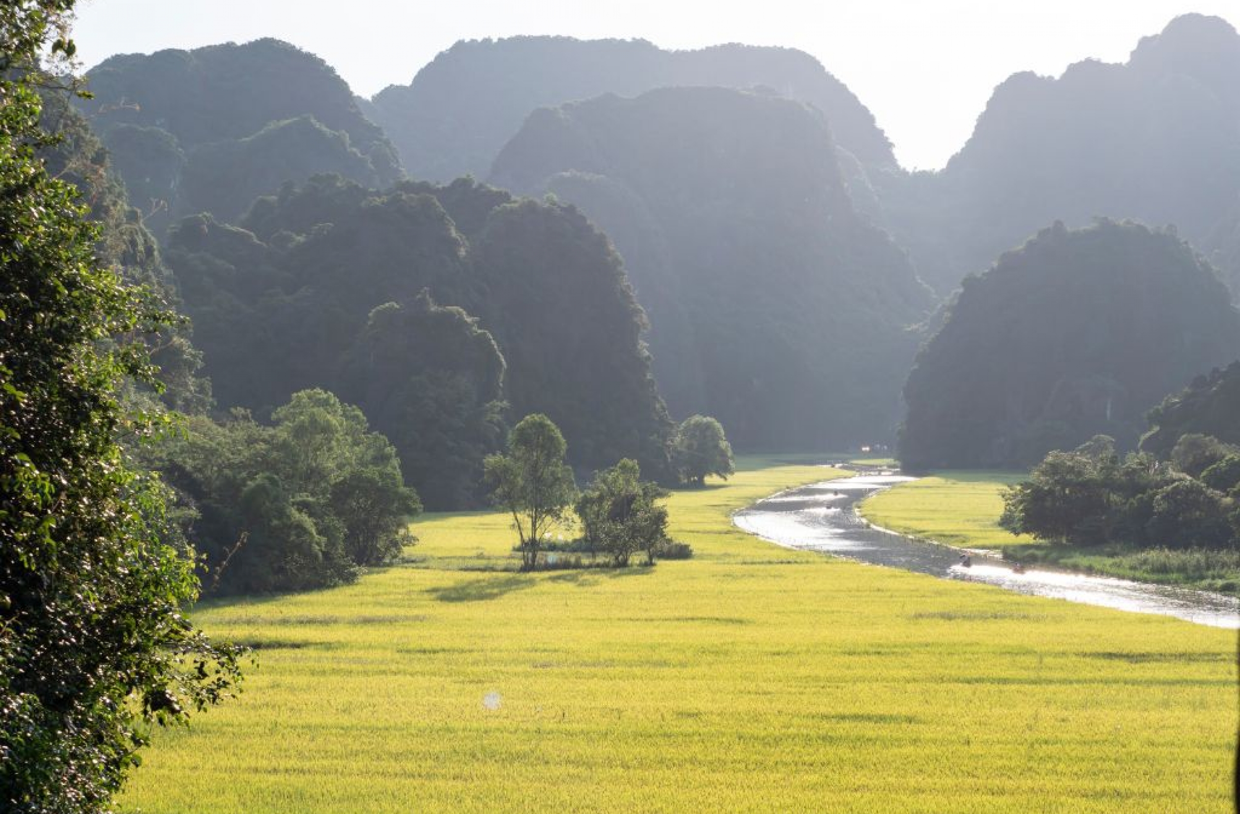 Circuit Vietnam en famille 15 jours