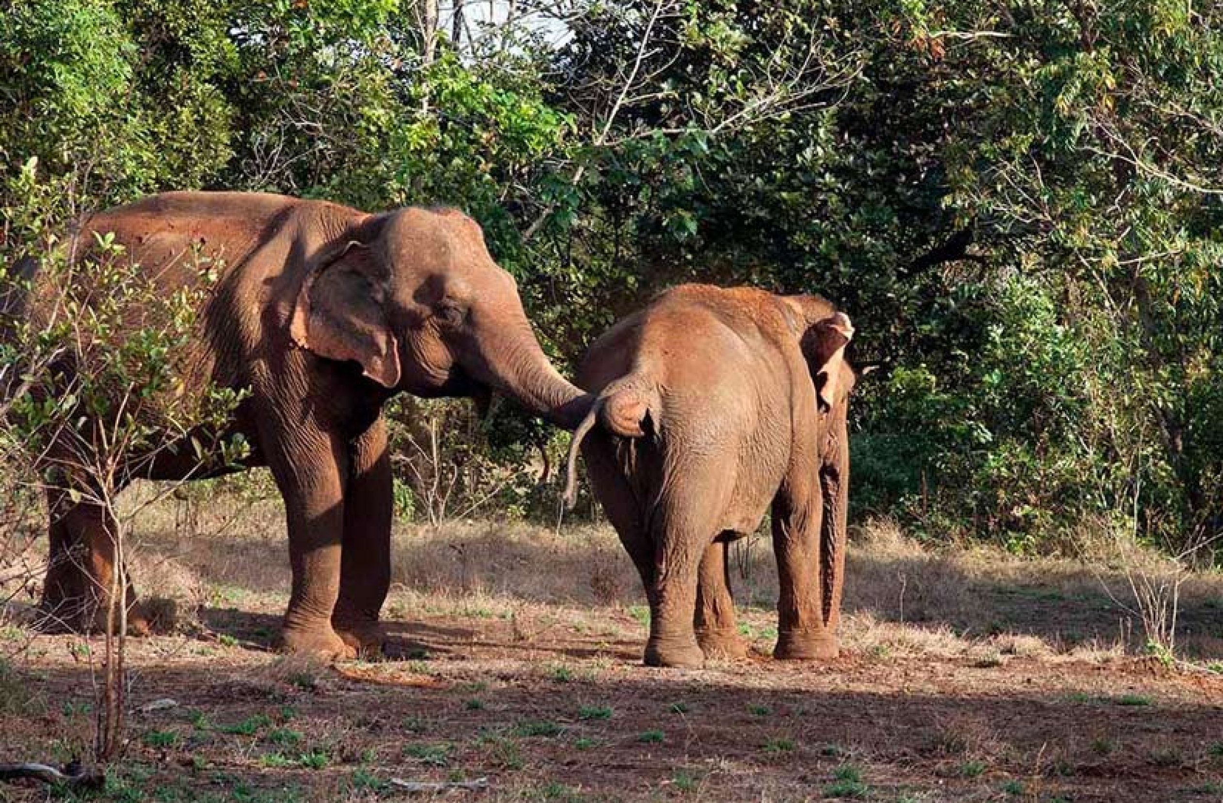 Circuit Cambodge en famille 10 jours Mythique Angkor et balnéaire