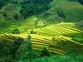 Ha Giang