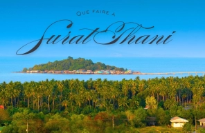 Que faire à Surat Thani ?