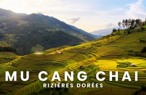  Quand voir les rizières dorées à Mu Cang Chai ? Guide complet