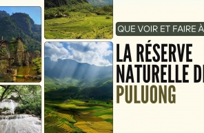 Que Voir Et Faire à La Réserve Naturelle De Puluong