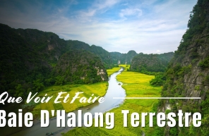 Que Voir Et Faire En Baie D'Halong Terrestre