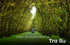 Forêt de cajeputiers de Tra Su: escapade incontournable au Mékong