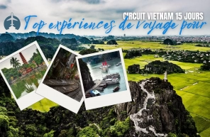 Top 5 expériences de voyage pour circuit Vietnam 15 jours de luxe