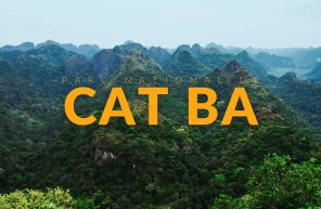 Visiter le parc national de Cat Ba : conseils pratiques