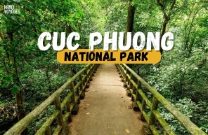 Guide to visiting Cuc Phuong national park