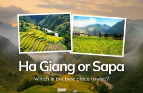 Ha Giang or Sapa: Which is the best place to visit?