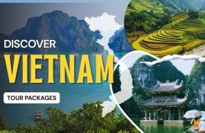 Discover Vietnam tour packages: What to expect