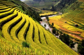 Que Voir Et Faire à Sapa