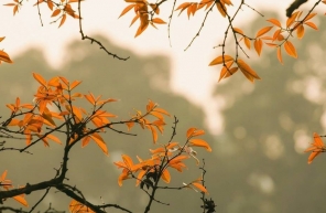 Seasons In Hanoi: The Trending Guide To Explore Hanoi