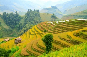 Guide Complet Pour Un Voyage Au Nord Du Vietnam