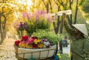 Northern Vietnam Trip in 1 week