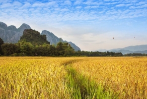 Panorama du Laos 14 jours