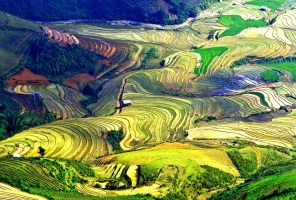 North Vietnam tour 16 days