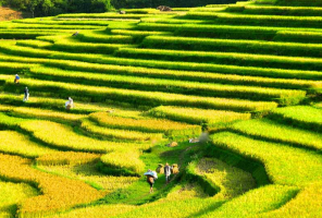 Vietnam tour 15 days with Pu Luong