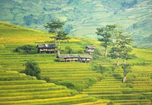 Splendeurs Vietnam - Laos 12 jours