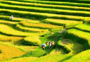 Circuit Vietnam 15 jours - Circuit initiatique avec la réserve naturelle de Pu Luong