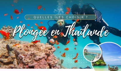 Plongée en Thaïlande : quelles îles choisir ?