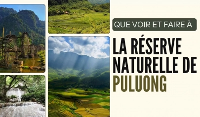 Que Voir Et Faire à La Réserve Naturelle De Puluong