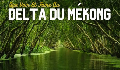 Que Voir Et Faire Au Delta Du Mékong