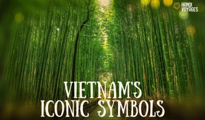 Top 10 Vietnam's iconic symbols and their deep meanings