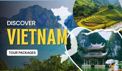 Discover Vietnam tour packages: What to expect