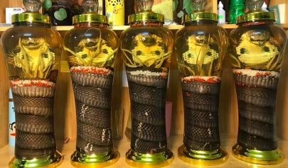 L’alcool De Serpent, Une Boisson étrange Du Vietnam