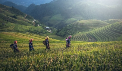 Que Faire Au Nord Du Vietnam : Top Choses à Faire Et à Voir