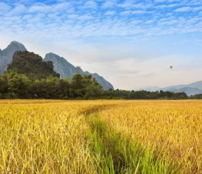 Panorama du Laos 14 jours