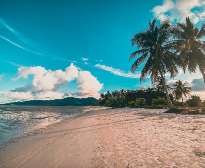 Évasion au cœur de la nature