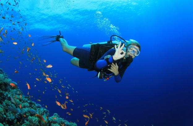 Top 7 Fascinating Scuba Diving In Vietnam Not Be Missed