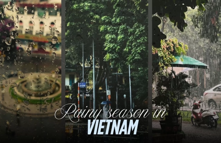 Rainy season in Vietnam: Ultimate travel guide 2025-2026