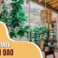 Top 7 best restaurants in Con Dao