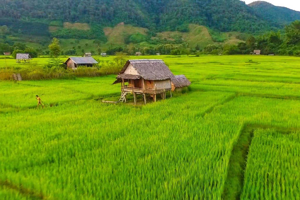 Visiter Muang La: Top 7 Des Choses à Faire Et à Voir