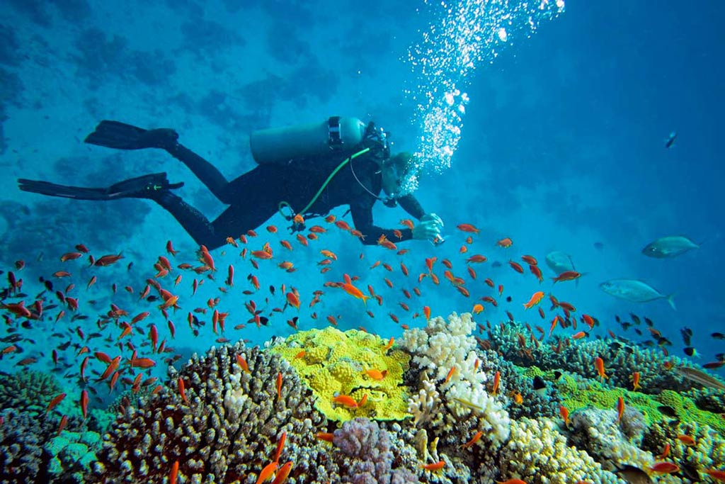 Voyage En Thaïlande