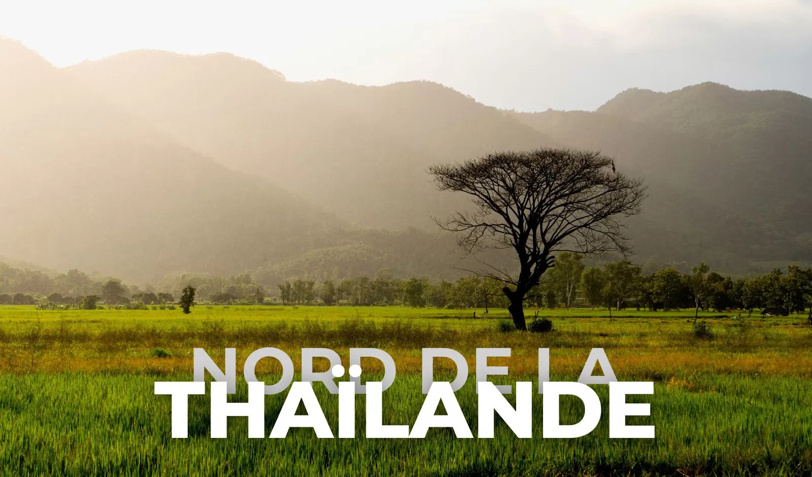 Que voir et faire du nord de la Thaïlande? Le guide ultime 