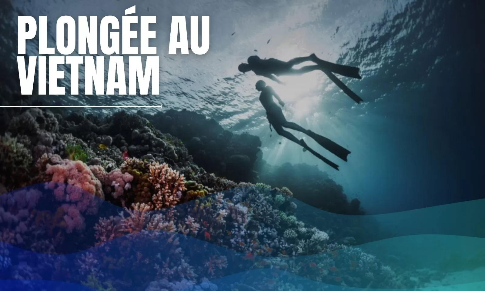 Plongée au Vietnam : top 7 destinations à ne pas manquer