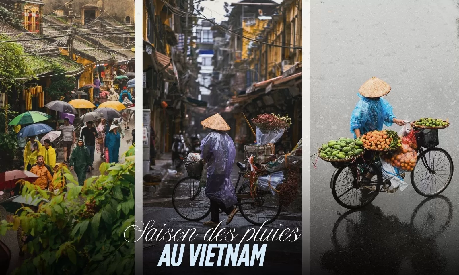 Saison des pluies au Vietnam : Guide ultime 2025/2026 par une agence locale
