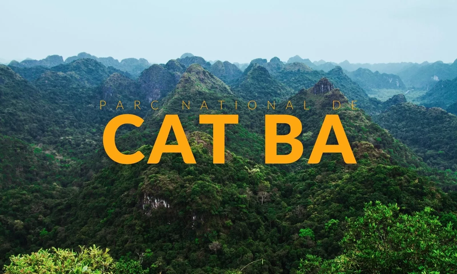 Visiter le parc national de Cat Ba : conseils pratiques