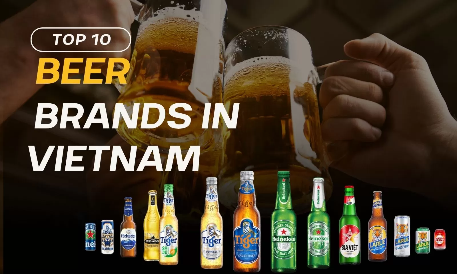 Top 10 popular beer brands in Vietnam: Are you curious?