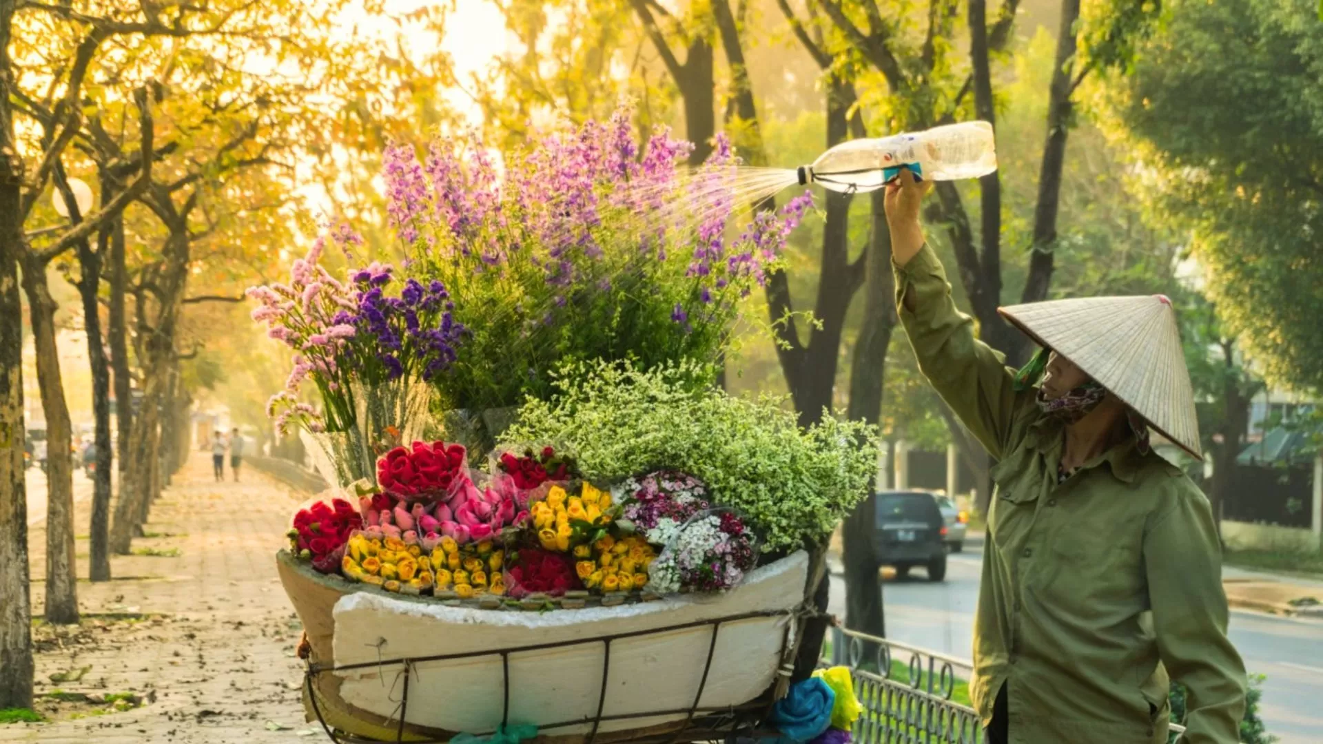 Northern Vietnam Trip in 1 week